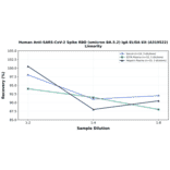 Linearity - Human Anti-SARS-CoV-2 Spike RBD (Omicron BA.5.2) IgA ELISA Kit (A319522) - Antibodies.com